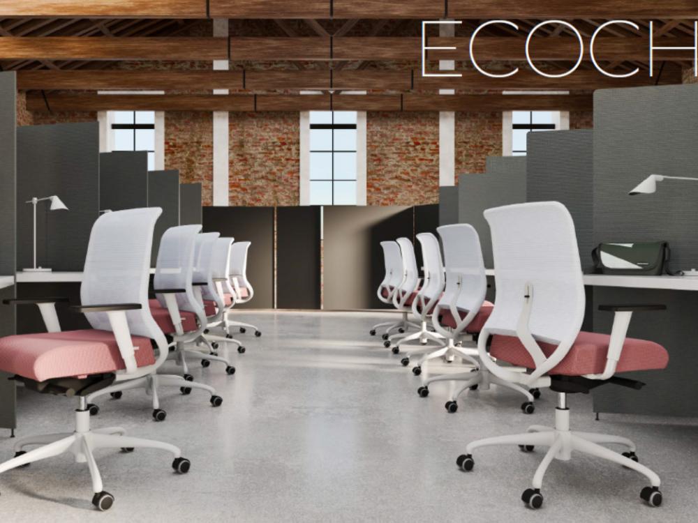 Ecochair