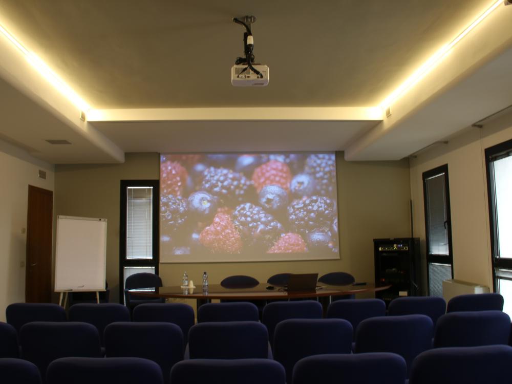 Sala conferenze collegio