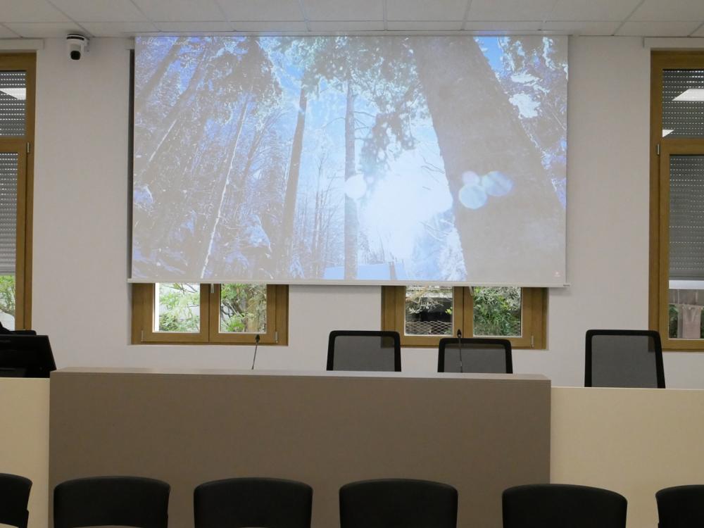 Presentazione consiglio