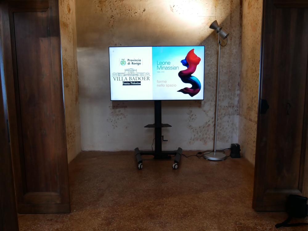 Display Digital Signage Museo