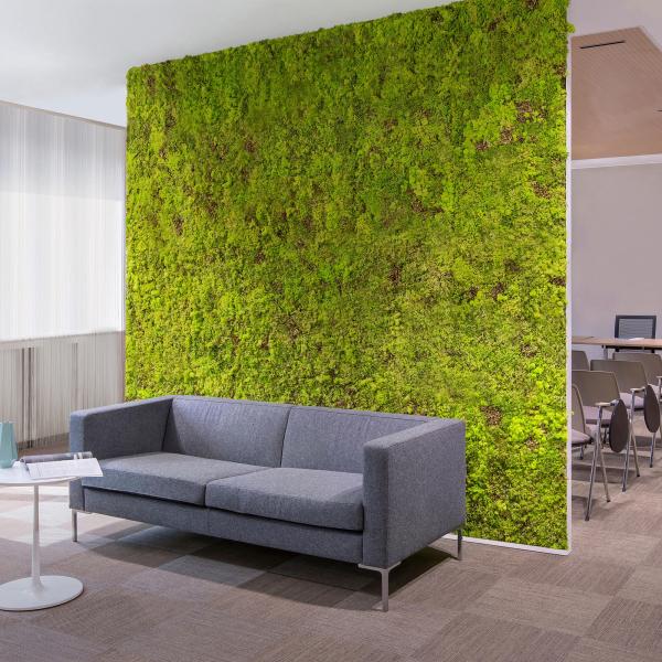 Parete divisoria Mosswall